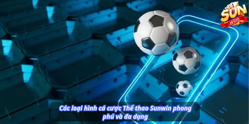 Các loại hình cá cược Thể thao Sunwin phong phú và đa dạng
